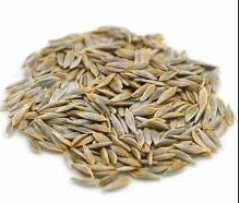 Lettuce Seeds