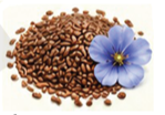 Flaxseed