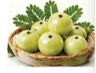 Amla