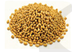Methi Dana