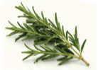 Rosemary